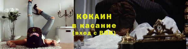 гашик Михайловка