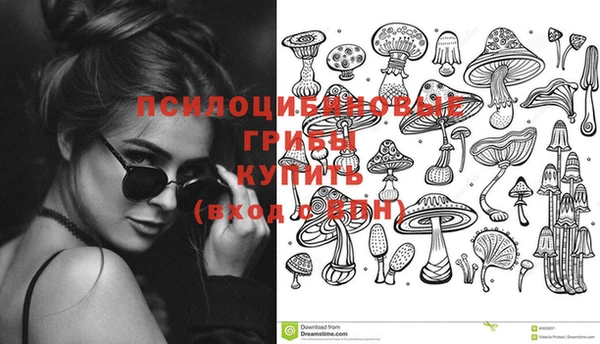 гашик Михайловка