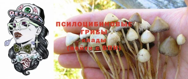 первитин Михайловск