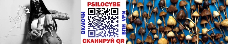 Псилоцибиновые грибы Psilocybe MEGA как войти Северск