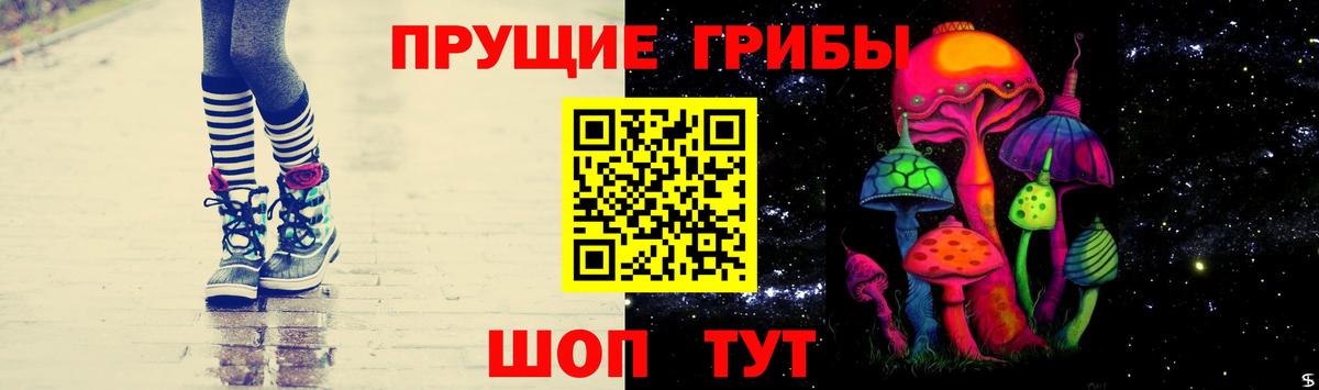 Северск  Псилоцибиновые грибы ЛСД  купить наркотики сайты  Вход с VPN 