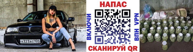 Шишки марихуана тримм  магазин продажи наркотиков  Северск 